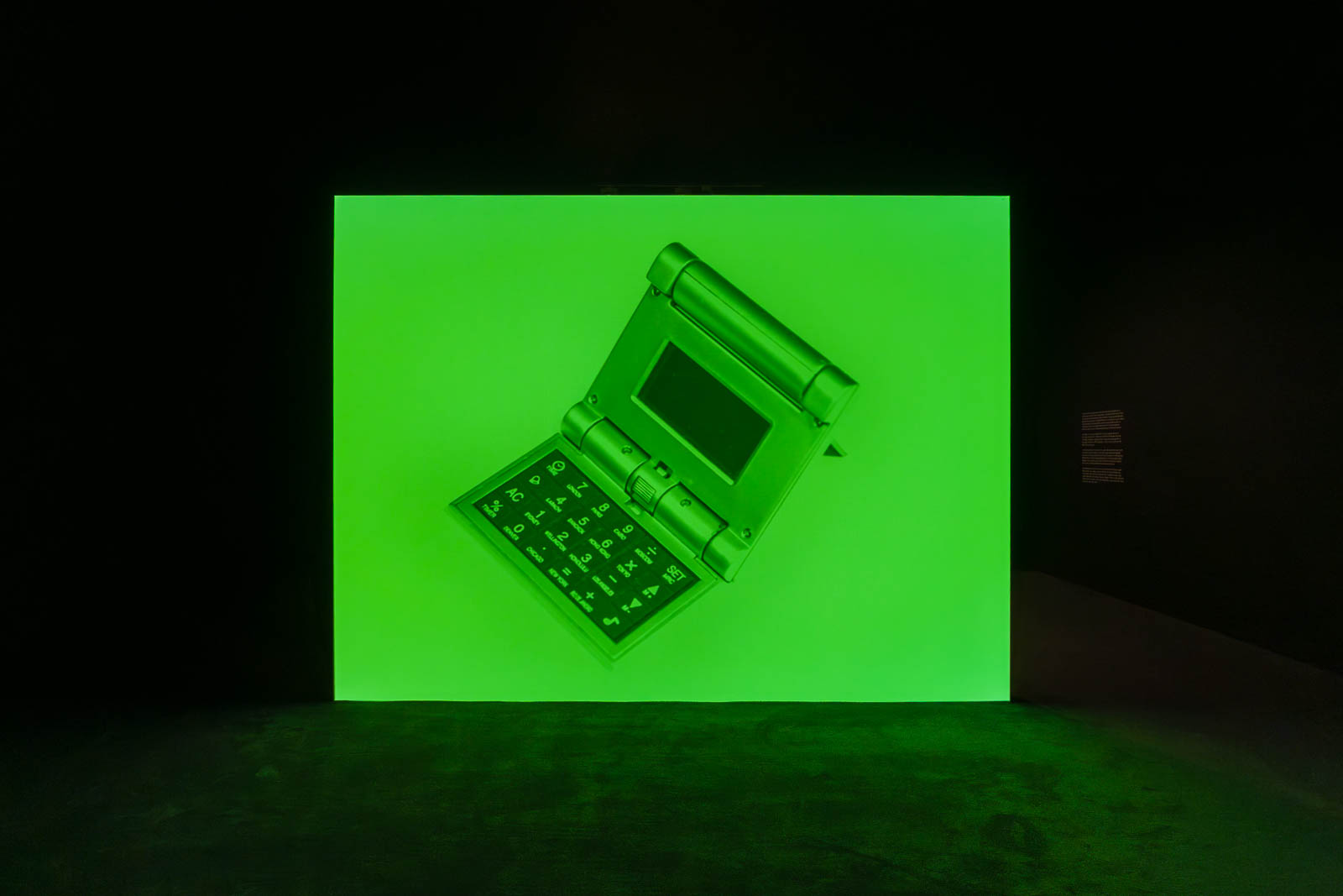 Ed Atkins, Death Mask II, 2010, video and sound, installation view Tate Britain