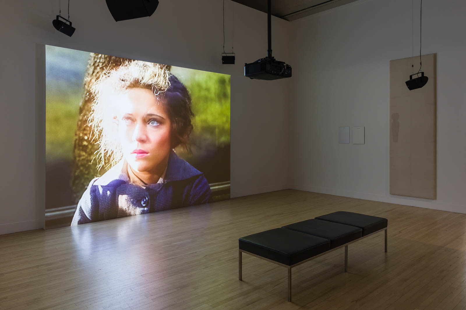 Ed Atkins, Voila la verite, 2022, 4K video loop, and Contemporary Art Writing Daily information panels, installation view Tate Britain