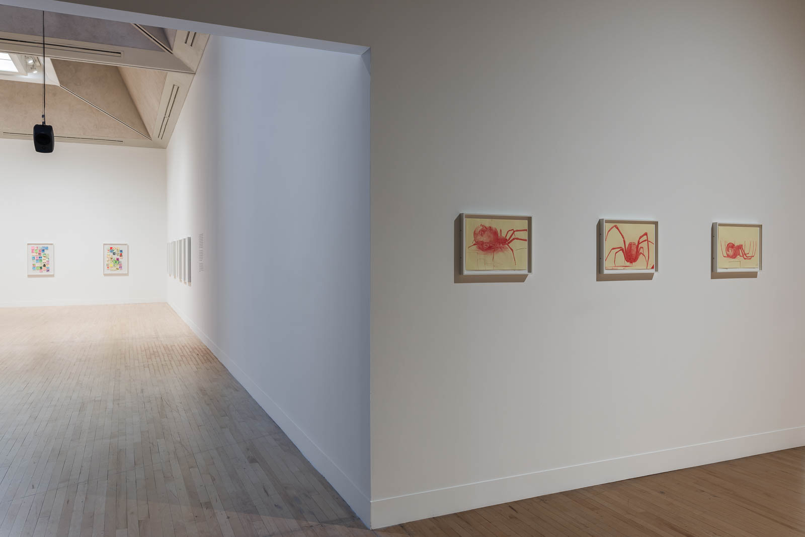 Ed Atkins, Untitled, 2023, coloured pencil on paper, self-portraits as spiders, installation view Tate Britain