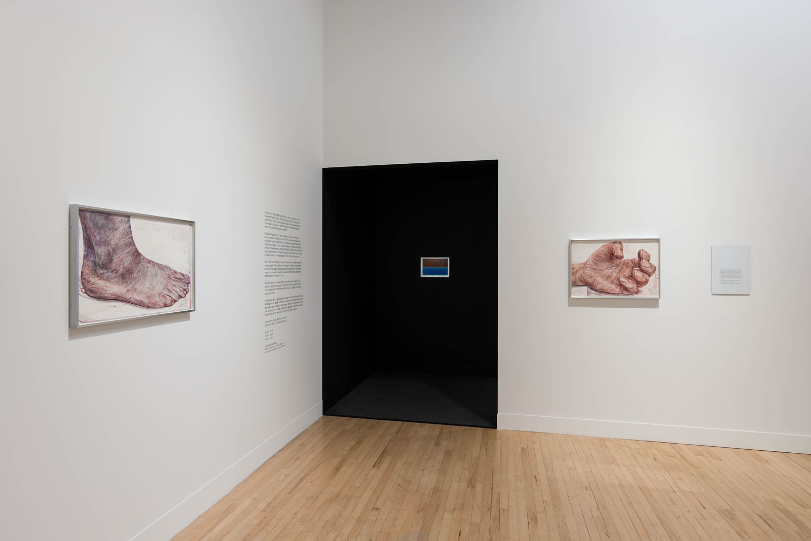 Ed Atkins, installation view Tate Britain