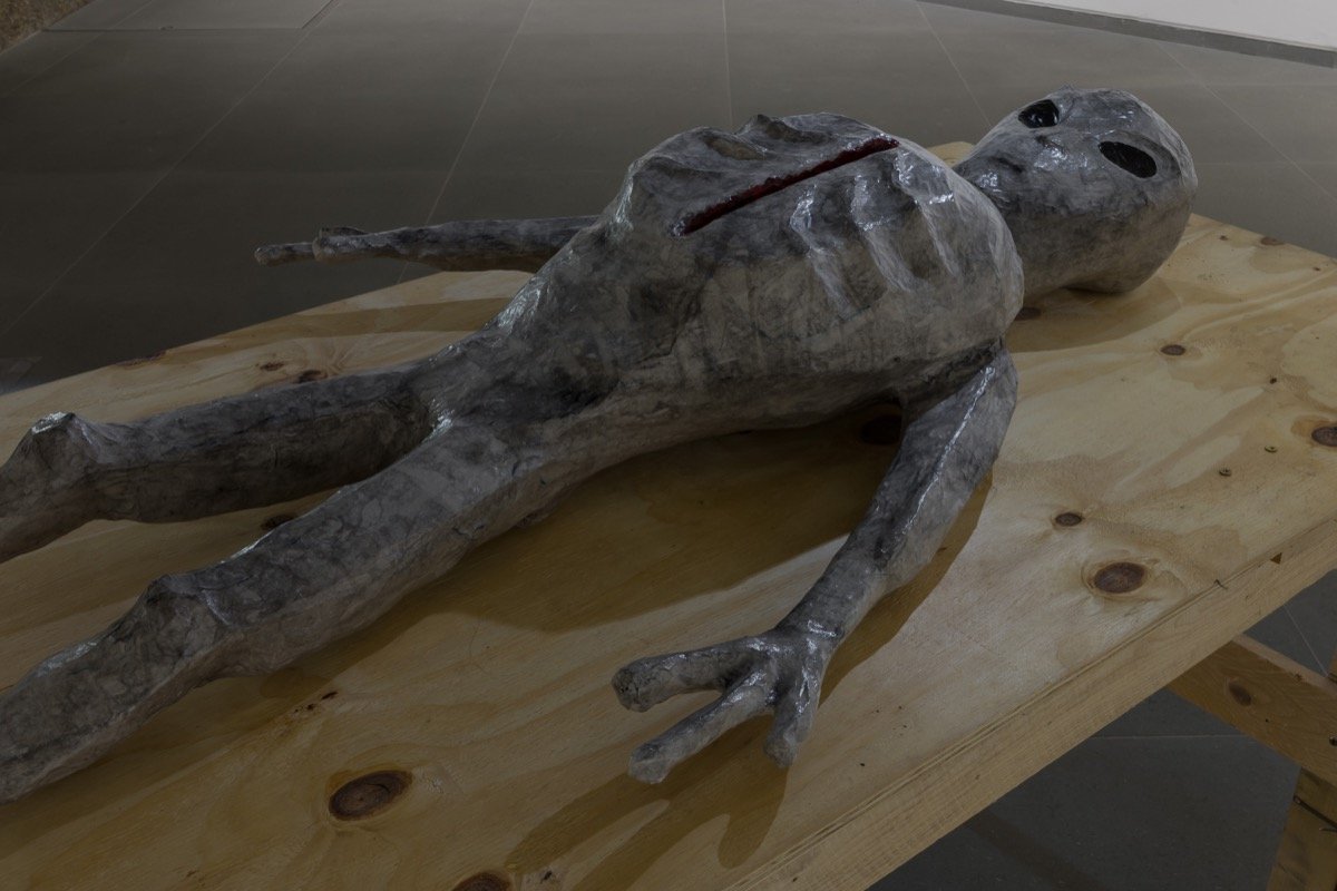 Installation view of Caspar Heinemann <em>Adduction</em> at Cabinet Gallery
