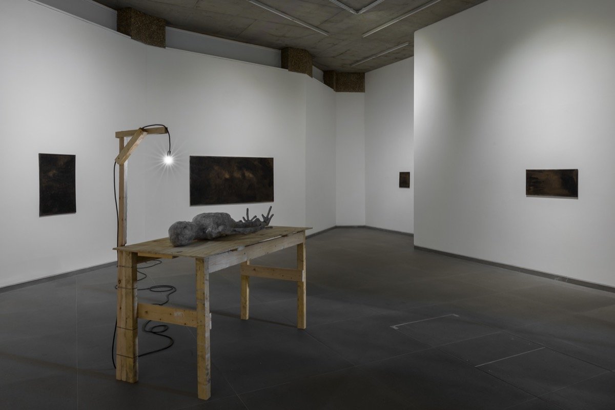 Installation view of Caspar Heinemann <em>Adduction</em> at Cabinet Gallery