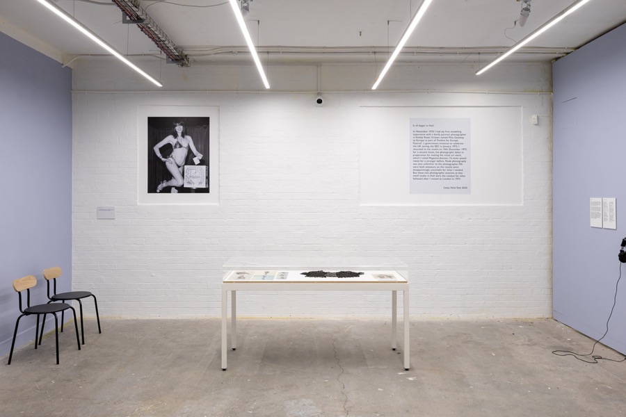 Cosey Fanni Tutti Humber Street Gallery image