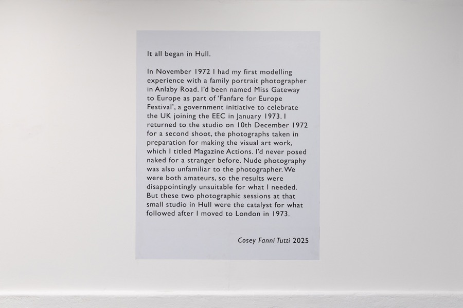 Cosey Fanni Tutti Humber Street Gallery image