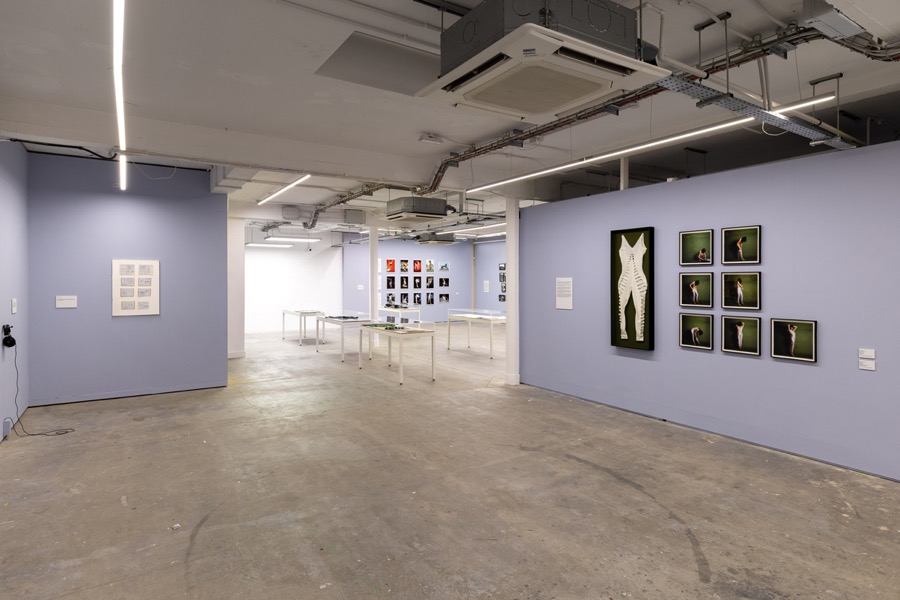 Cosey Fanni Tutti Humber Street Gallery image