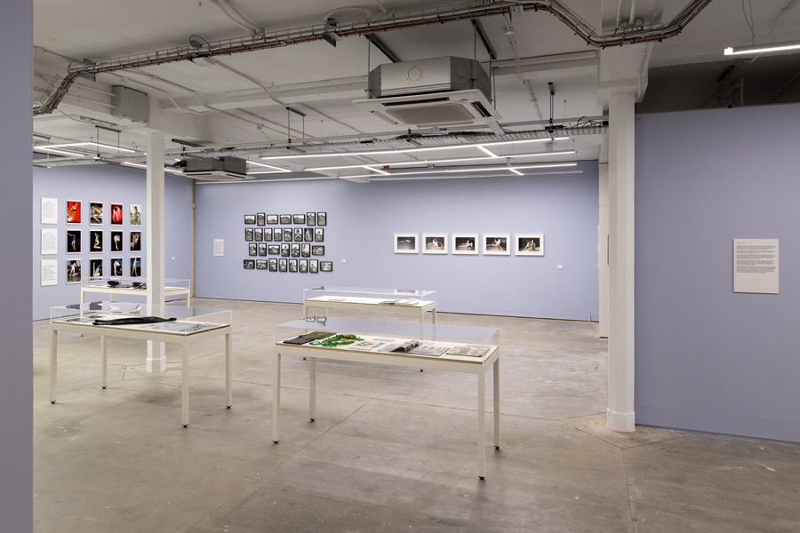 Cosey Fanni Tutti Humber Street Gallery image