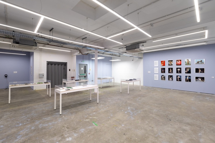 Cosey Fanni Tutti Humber Street Gallery image