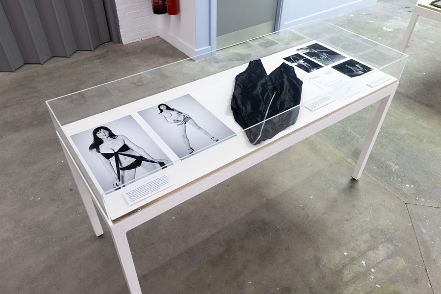 Cosey Fanni Tutti Humber Street Gallery Incognito