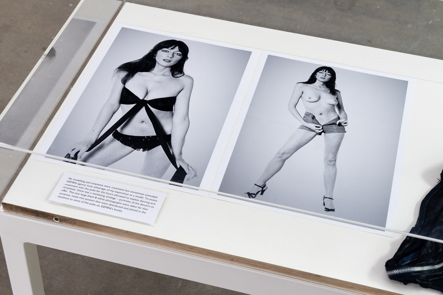 Cosey Fanni Tutti Humber Street Gallery Incognito