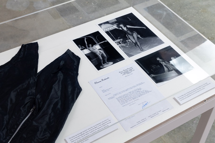 Cosey Fanni Tutti Humber Street Gallery Incognito