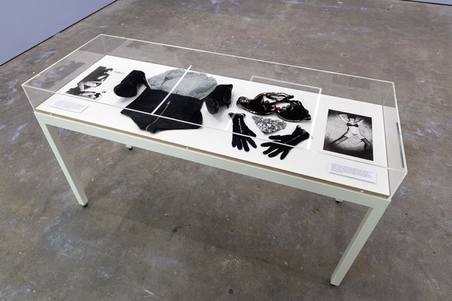 Cosey Fanni Tutti Humber Street Gallery Incognito