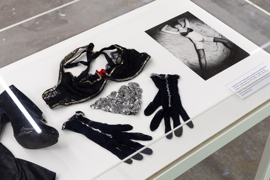 Cosey Fanni Tutti Humber Street Gallery Incognito