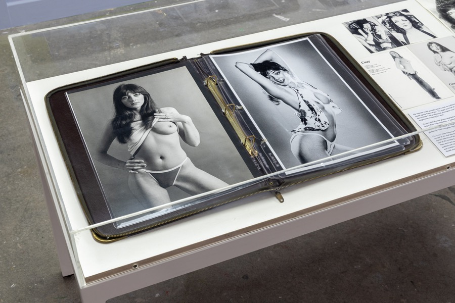 Cosey Fanni Tutti Humber Street Gallery Incognito