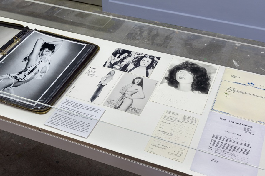 Cosey Fanni Tutti Humber Street Gallery Incognito