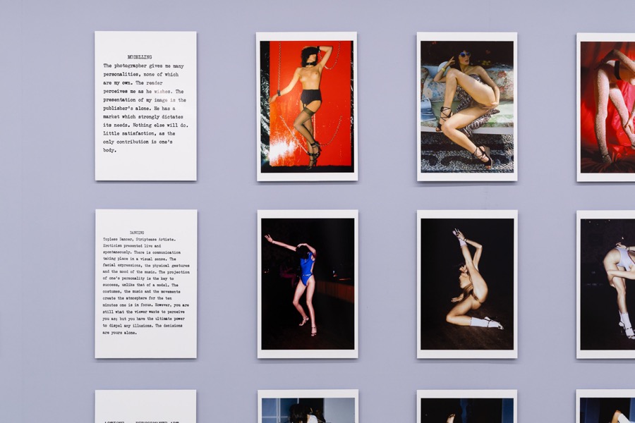 Cosey Fanni Tutti Humber Street Gallery Incognito