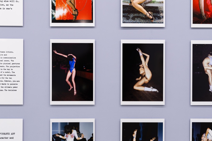 Cosey Fanni Tutti Humber Street Gallery Incognito