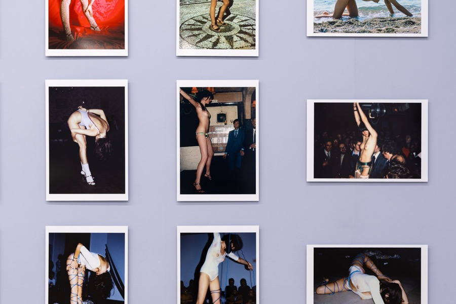 Cosey Fanni Tutti Humber Street Gallery Incognito