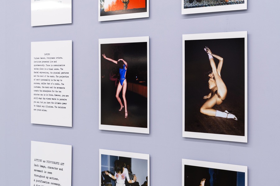 Cosey Fanni Tutti Humber Street Gallery Incognito