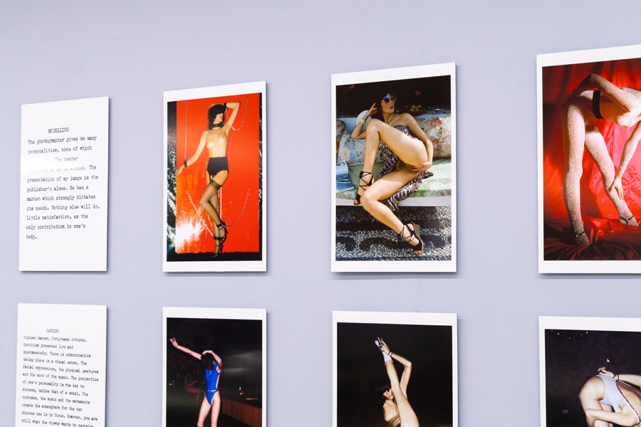 Cosey Fanni Tutti Humber Street Gallery Incognito