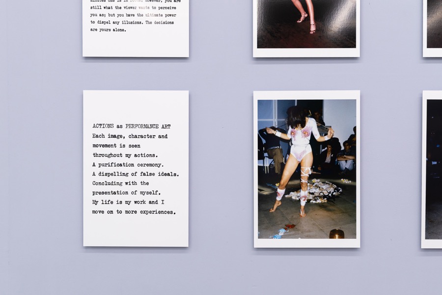 Cosey Fanni Tutti Humber Street Gallery Incognito