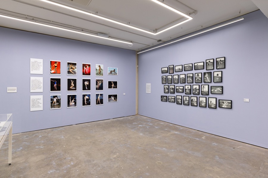 Cosey Fanni Tutti Humber Street Gallery image