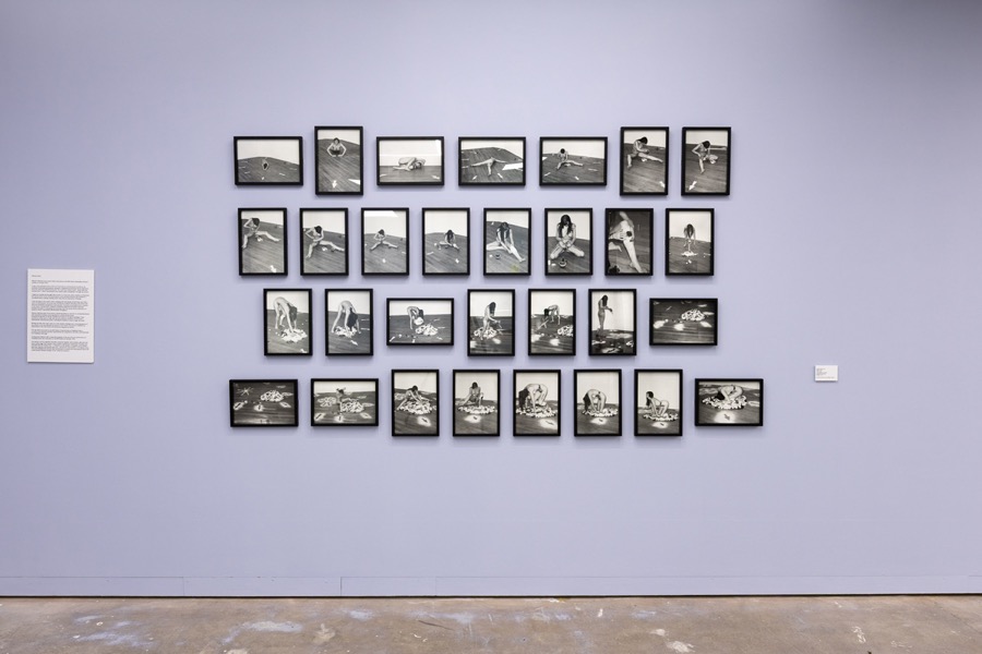 Cosey Fanni Tutti Humber Street Gallery Incognito