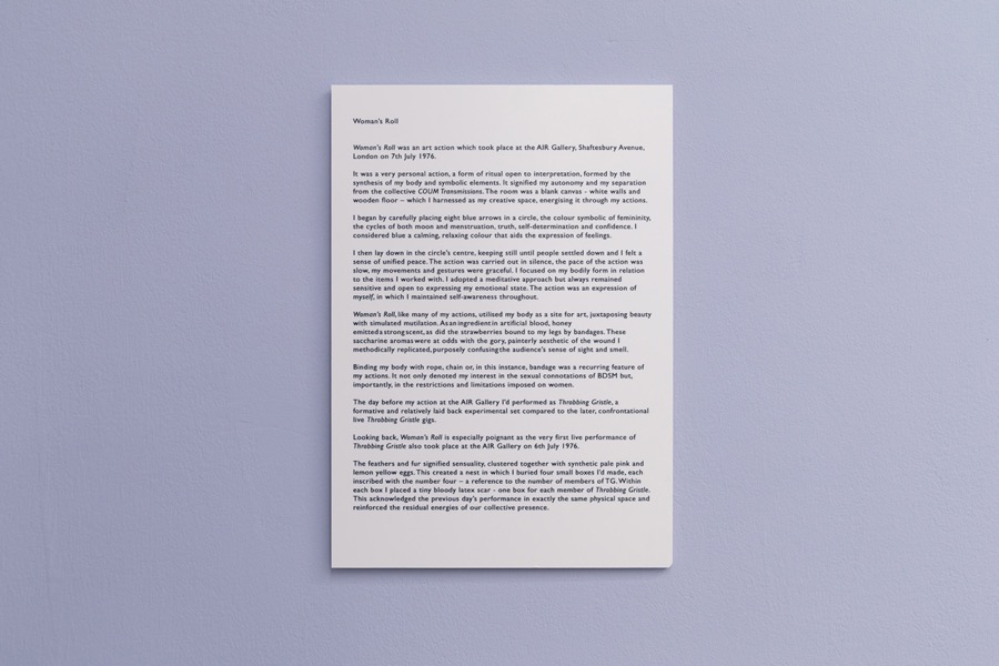 Cosey Fanni Tutti Humber Street Gallery Incognito