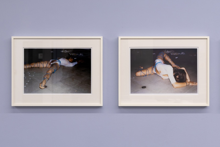 Cosey Fanni Tutti Humber Street Gallery Incognito