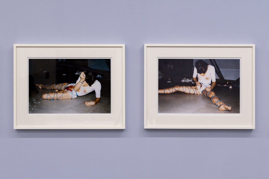 Cosey Fanni Tutti Humber Street Gallery Incognito