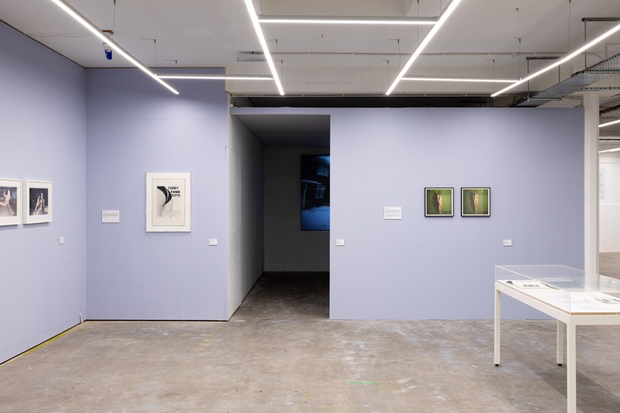 Cosey Fanni Tutti Humber Street Gallery image