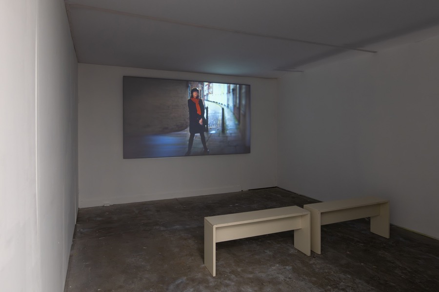 Cosey Fanni Tutti Humber Street Gallery Incognito