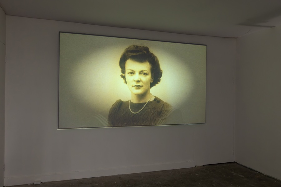 Cosey Fanni Tutti Humber Street Gallery Incognito